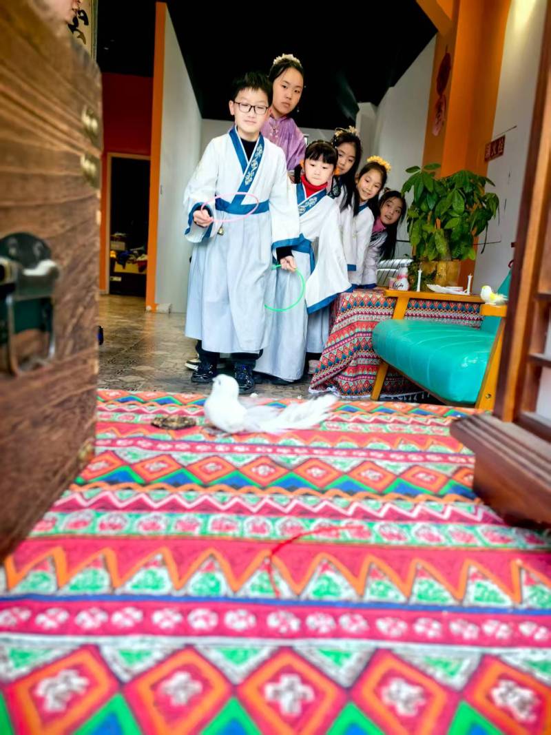 楚雄文旅项目策划